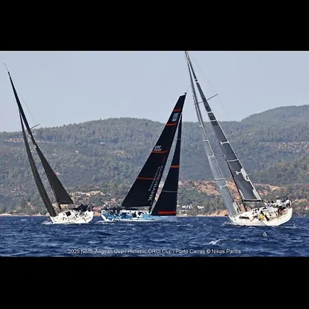 公寓 Korina's Ándros